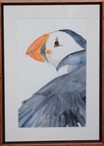 Puffin, setting off Watercolour