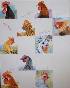 Heaps of Hens! Watercolours
